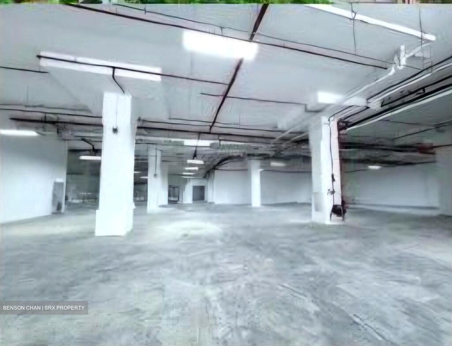 Harbour Link Complex (D5), Warehouse #509014931